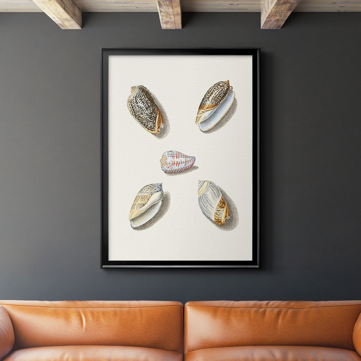 Pastel Knorr Shells III - Modern Framed Canvas Print