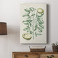 Buchoz Tropicals III - Canvas Art Print
