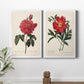 Red Botanical III Premium Gallery Wrapped Canvas - Ready to Hang - Set of 2 - 8 x 12 Each