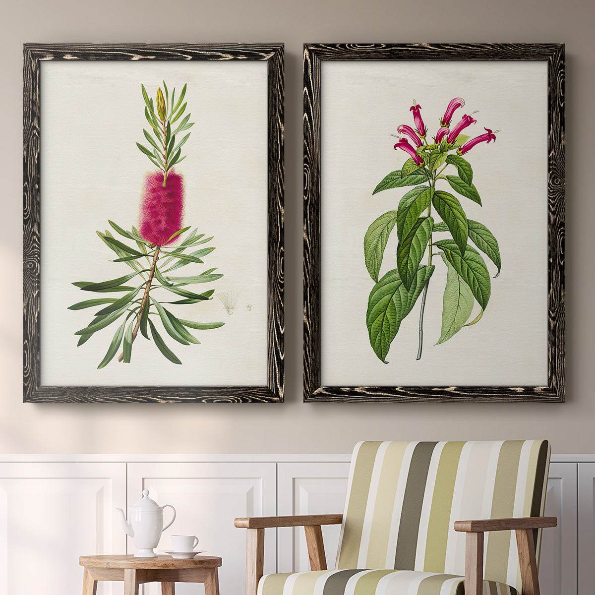 Set of two black barnwood framed canvas prints depicting two vintage botanical plate illustrations featuring pink flowering plant specimens above a sideboard in a cozy sitting room.