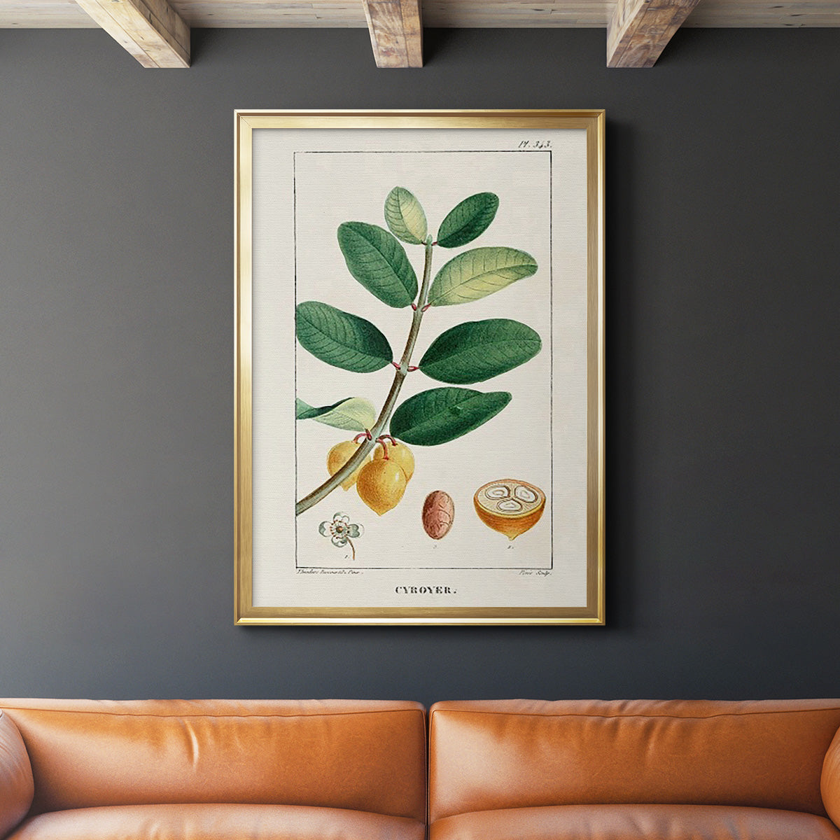 Turpin Tropical Botanicals V - Modern Framed Canvas Print