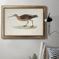 Morris Sandpipers II Premium Framed Canvas- Ready to Hang