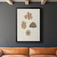 Knorr Shells & Coral VIII - Modern Framed Canvas Print