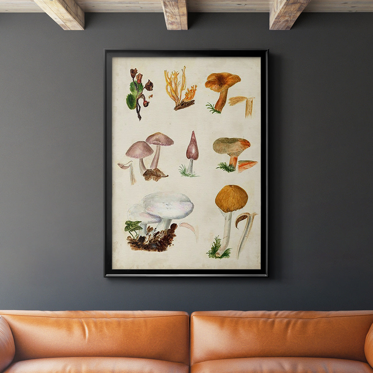 Mushroom Species VI - Modern Framed Canvas Print