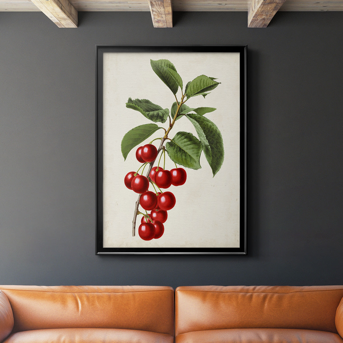 Antique Fruit II - Modern Framed Canvas Print