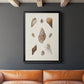 Knorr Shells & Coral IX - Modern Framed Canvas Print