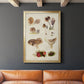 Mushroom Species III - Modern Framed Canvas Print