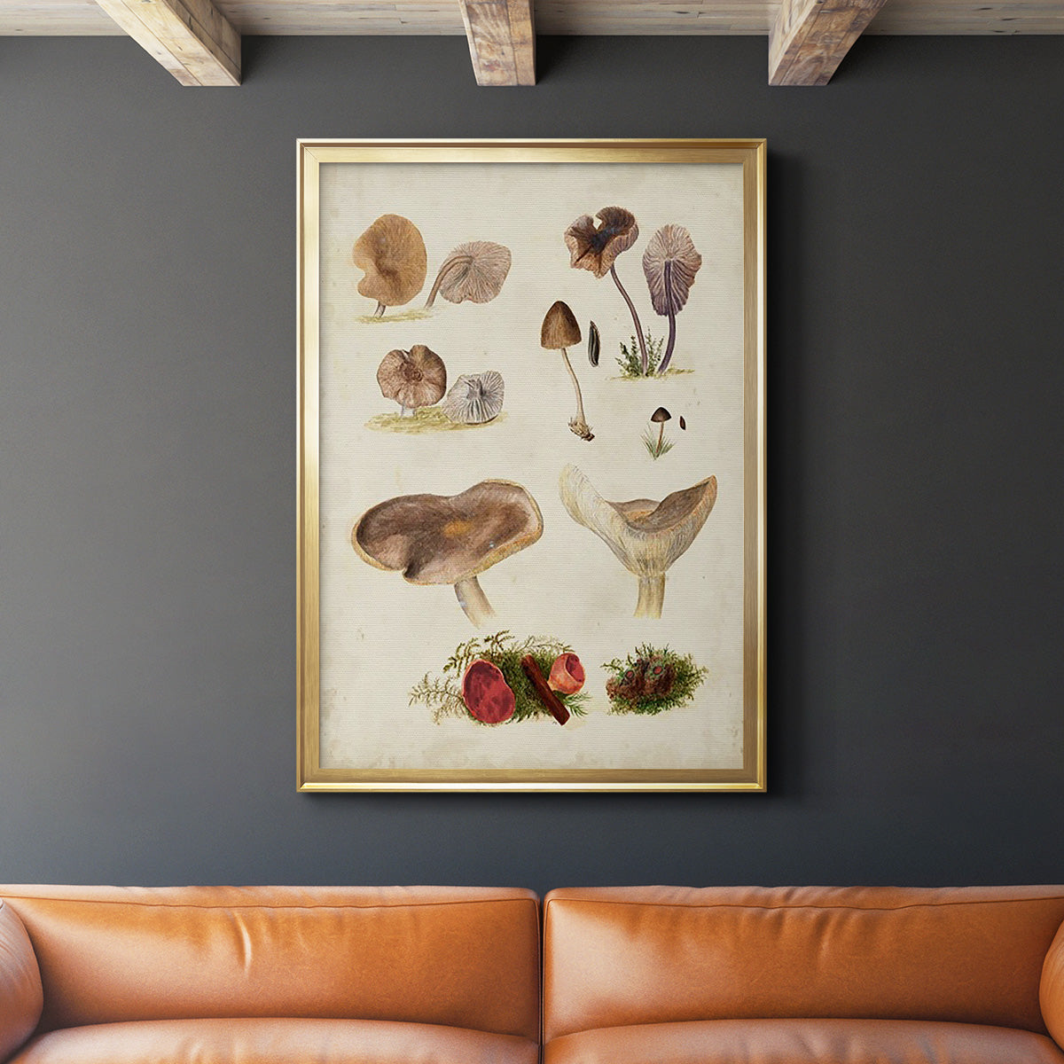 Mushroom Species III - Modern Framed Canvas Print