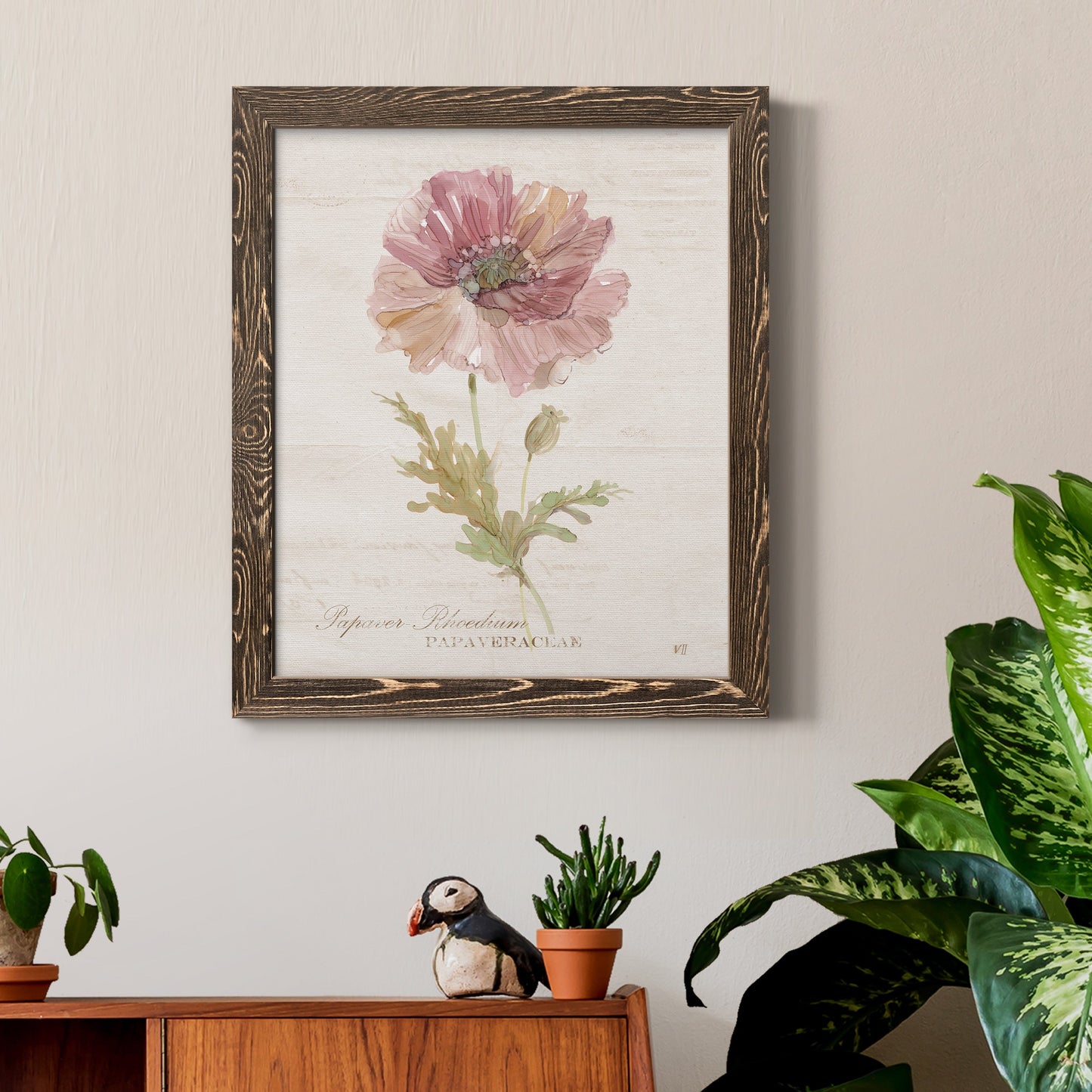 Soft Poppy - Premium Canvas Framed in Barnwood - Ready to Hang