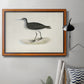 Morris Sandpipers VIII Premium Framed Canvas- Ready to Hang