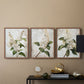 Floral Study Series LXXXVII - Restickable Framed Art Set
