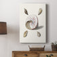 Pastel Knorr Shells II - Canvas Art Print