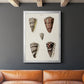 Cone Shell Collection III - Modern Framed Canvas Print