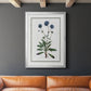 Soft Botanical II - Modern Framed Canvas Print