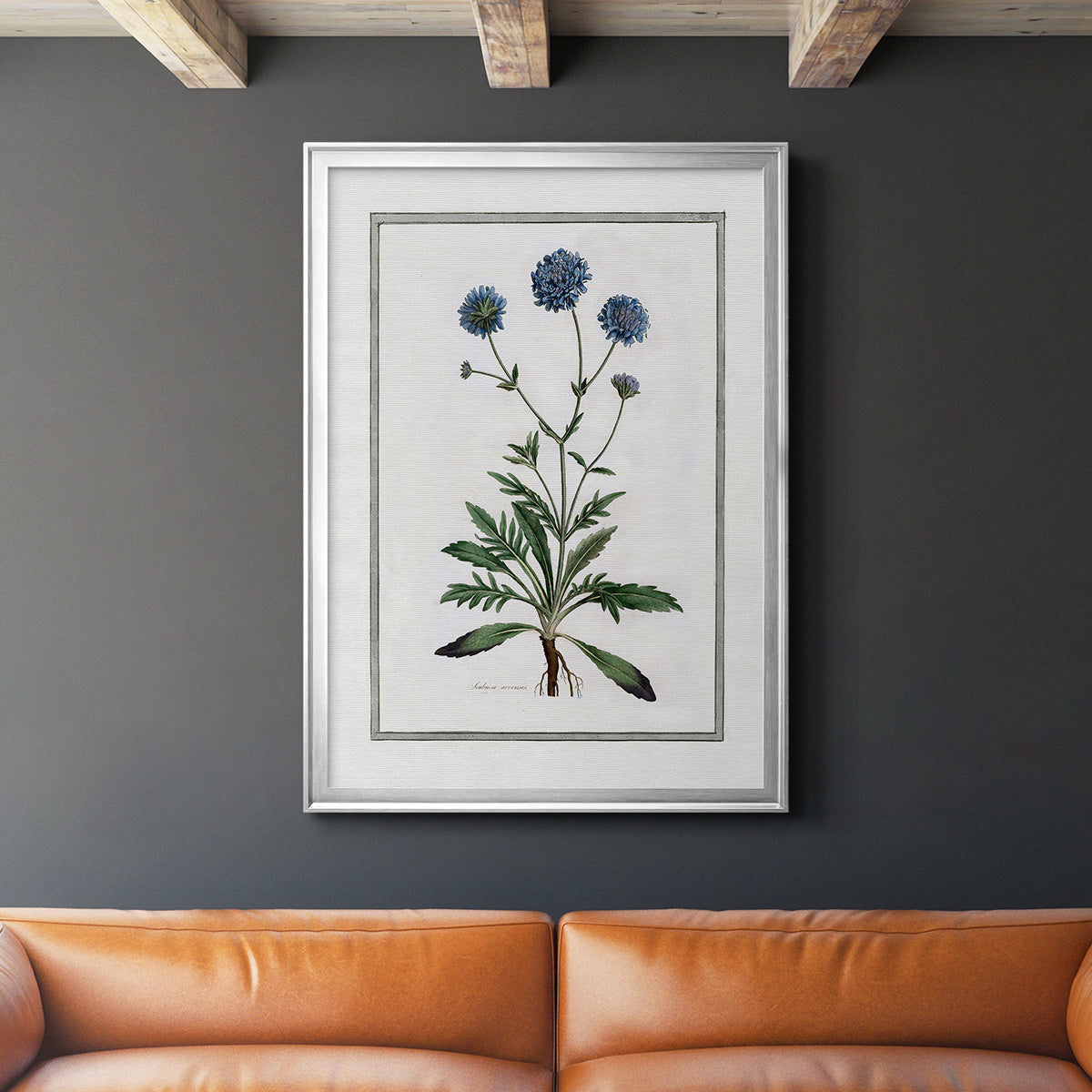 Soft Botanical II - Modern Framed Canvas Print