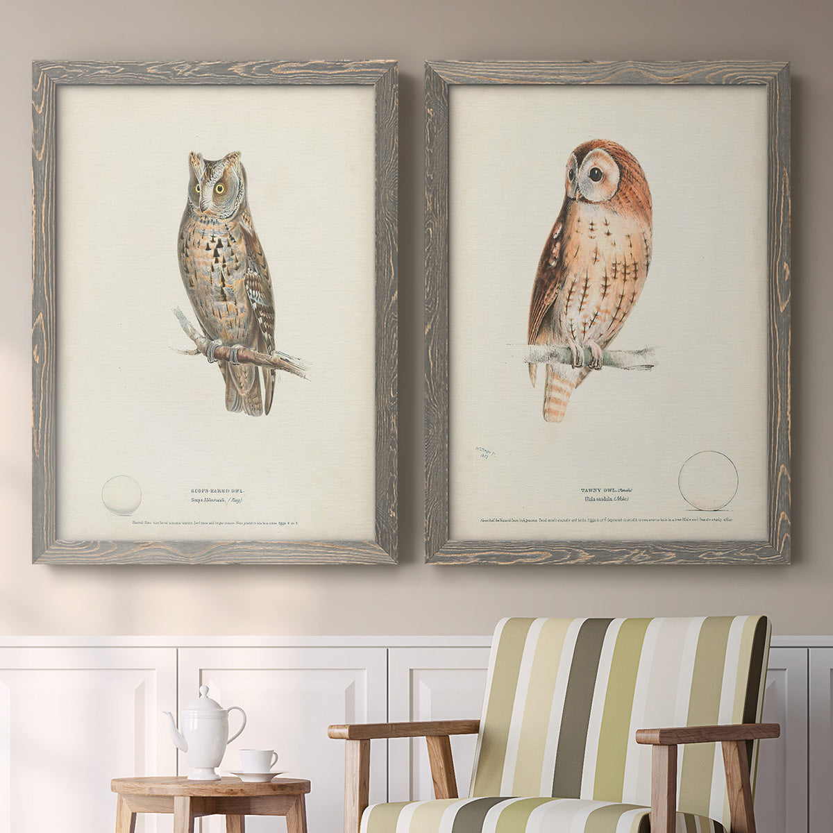 Scops- Eared Owl - Premium Framed Canvas 2 Piece Set - Ready to Hang