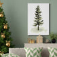 Watercolor Pine II - Gallery Wrapped Canvas