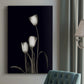 Tulip Pose III - Canvas Art Print