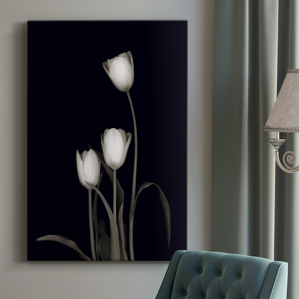 Tulip Pose III - Canvas Art Print