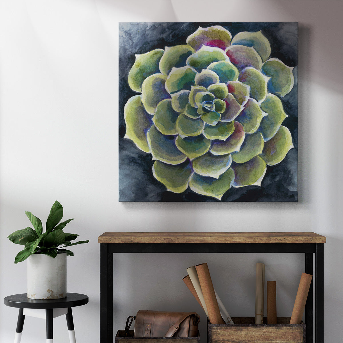 Succulent Rosette II - Canvas Art Print