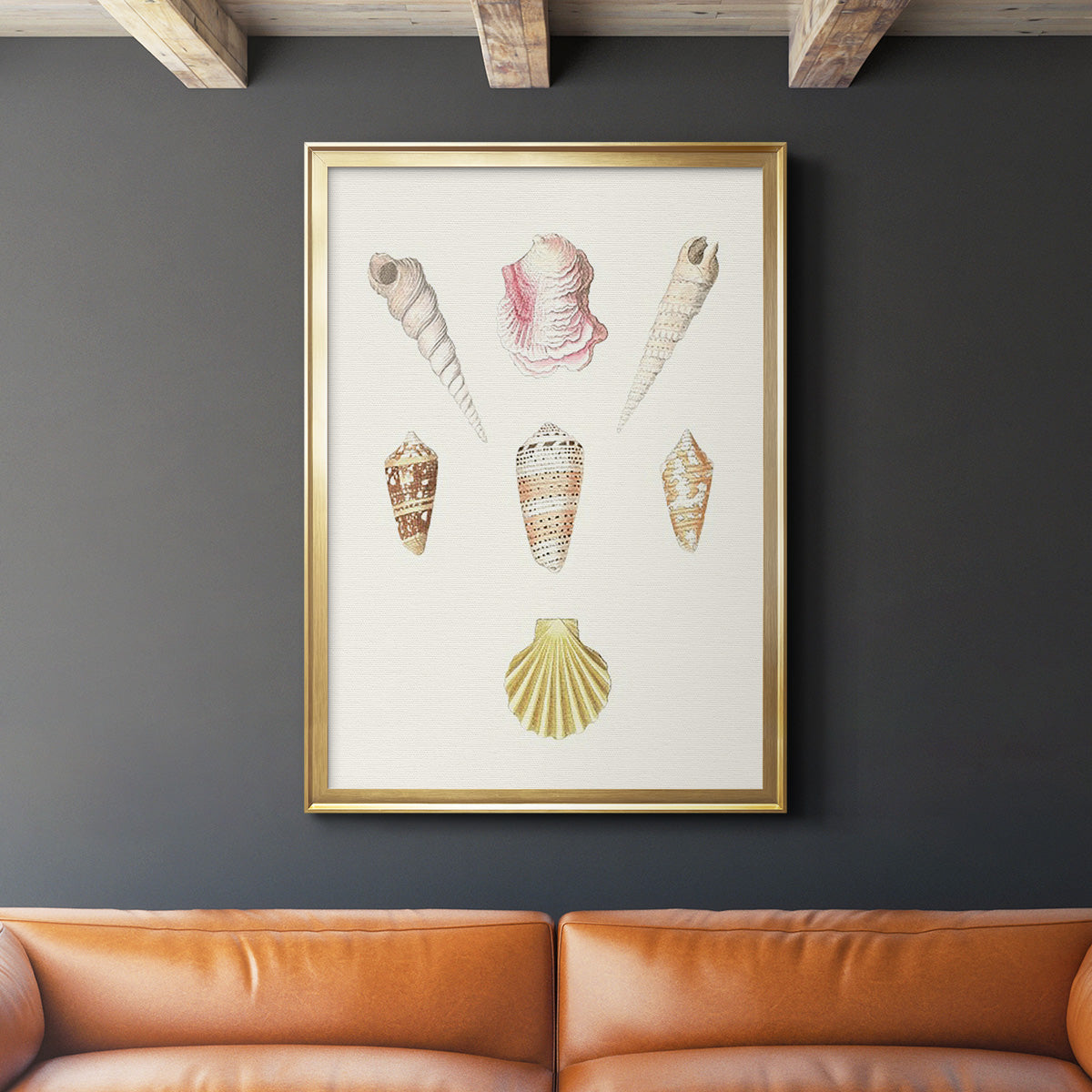 Pastel Knorr Shells I - Modern Framed Canvas Print