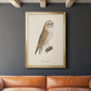 French Owls VI - Modern Framed Canvas Print