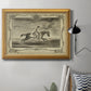 Distinguished Horses I Premium Framed Canvas- Ready to Hang