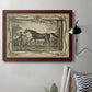 Distinguished Horses IV Premium Framed Canvas- Ready to Hang