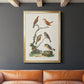 Antique Birds in Nature IV - Modern Framed Canvas Print