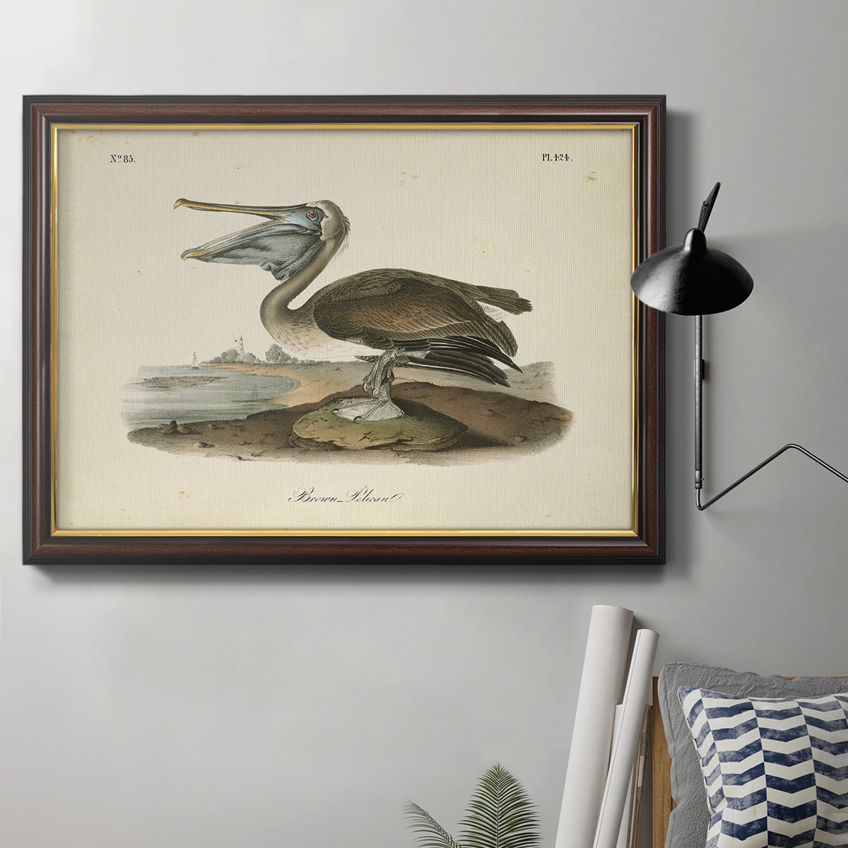 Audubons Brown Pelican - Ornate Framed Canvas Print