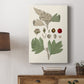 Leaves & Berries IV - Canvas Art Print