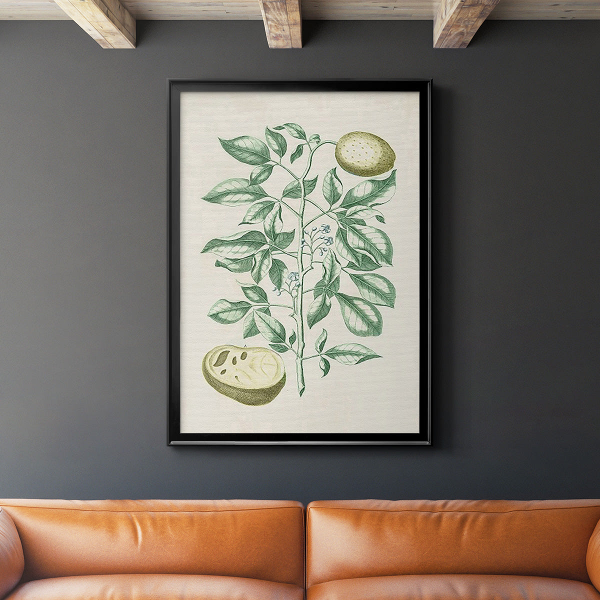 Buchoz Tropicals III - Modern Framed Canvas Print