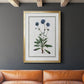 Soft Botanical II - Modern Framed Canvas Print