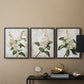 Floral Study Series LXXXVII - Restickable Framed Art Set