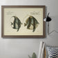 Bloch Antique Fish I Premium Framed Canvas- Ready to Hang