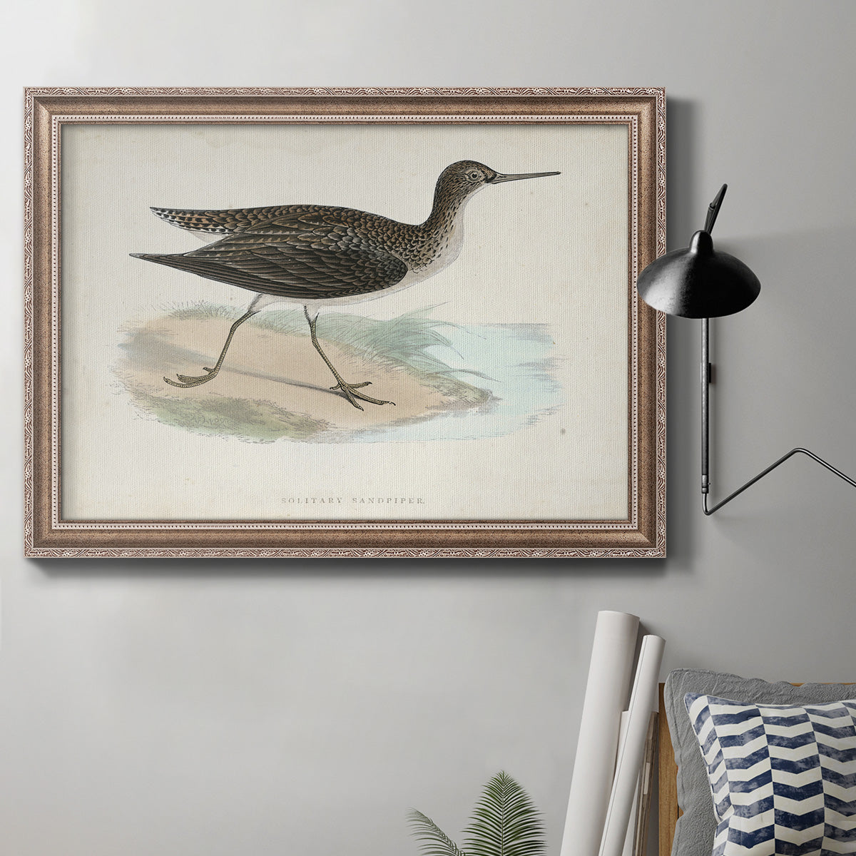 Morris Sandpipers VII Premium Framed Canvas- Ready to Hang