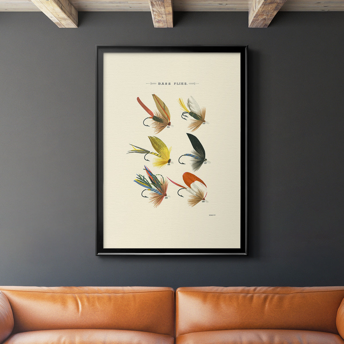 Bass Flies I - Modern Framed Canvas Print