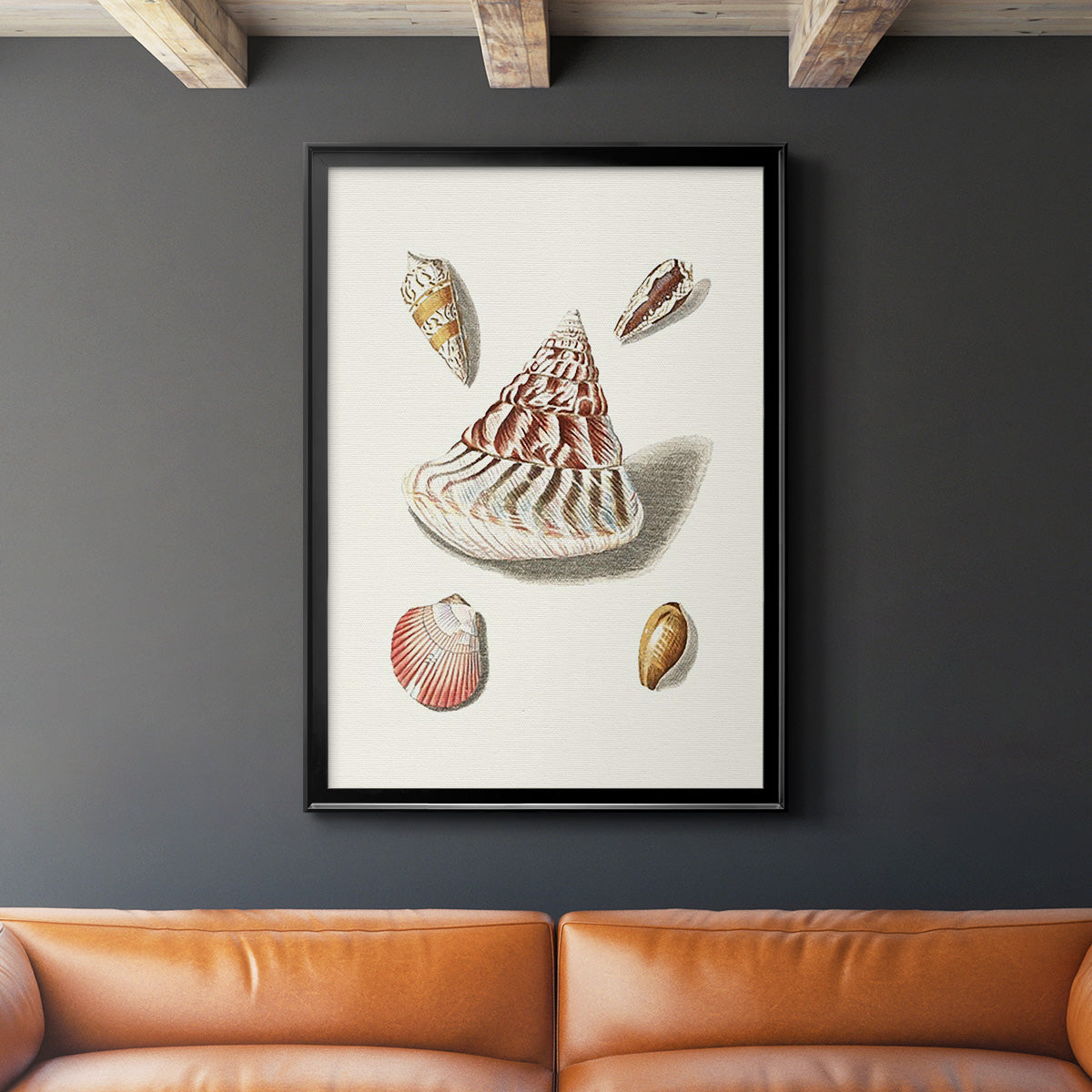 Pastel Knorr Shells VII - Modern Framed Canvas Print