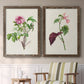 Pretty Pink Botanicals V - Premium Framed Canvas 2 Piece Set - Ready to Hang