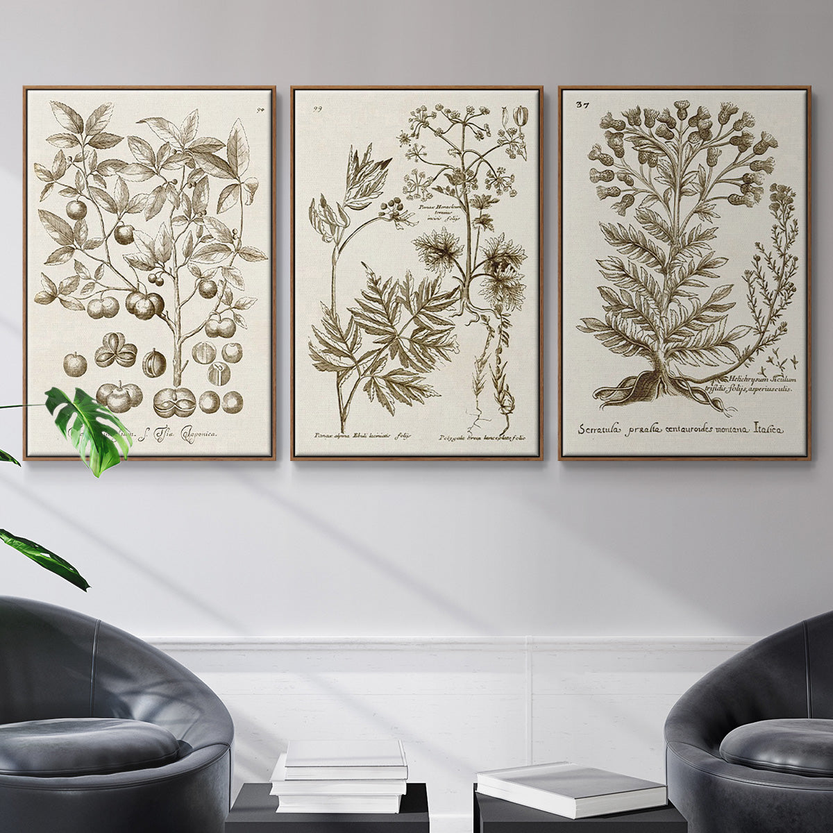 Sepia Botanical Journal I - Framed Premium Gallery Wrapped Canvas L Frame 3 Piece Set - Ready to Hang