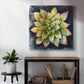 Succulent Rosette IV - Canvas Art Print