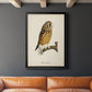 French Owls II - Modern Framed Canvas Print