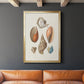 Knorr Shells & Coral I - Modern Framed Canvas Print