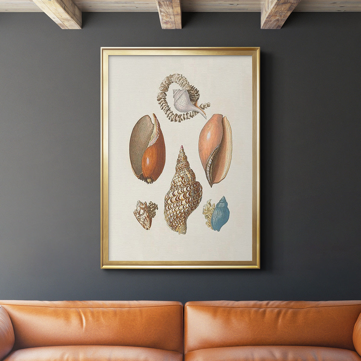 Knorr Shells & Coral I - Modern Framed Canvas Print
