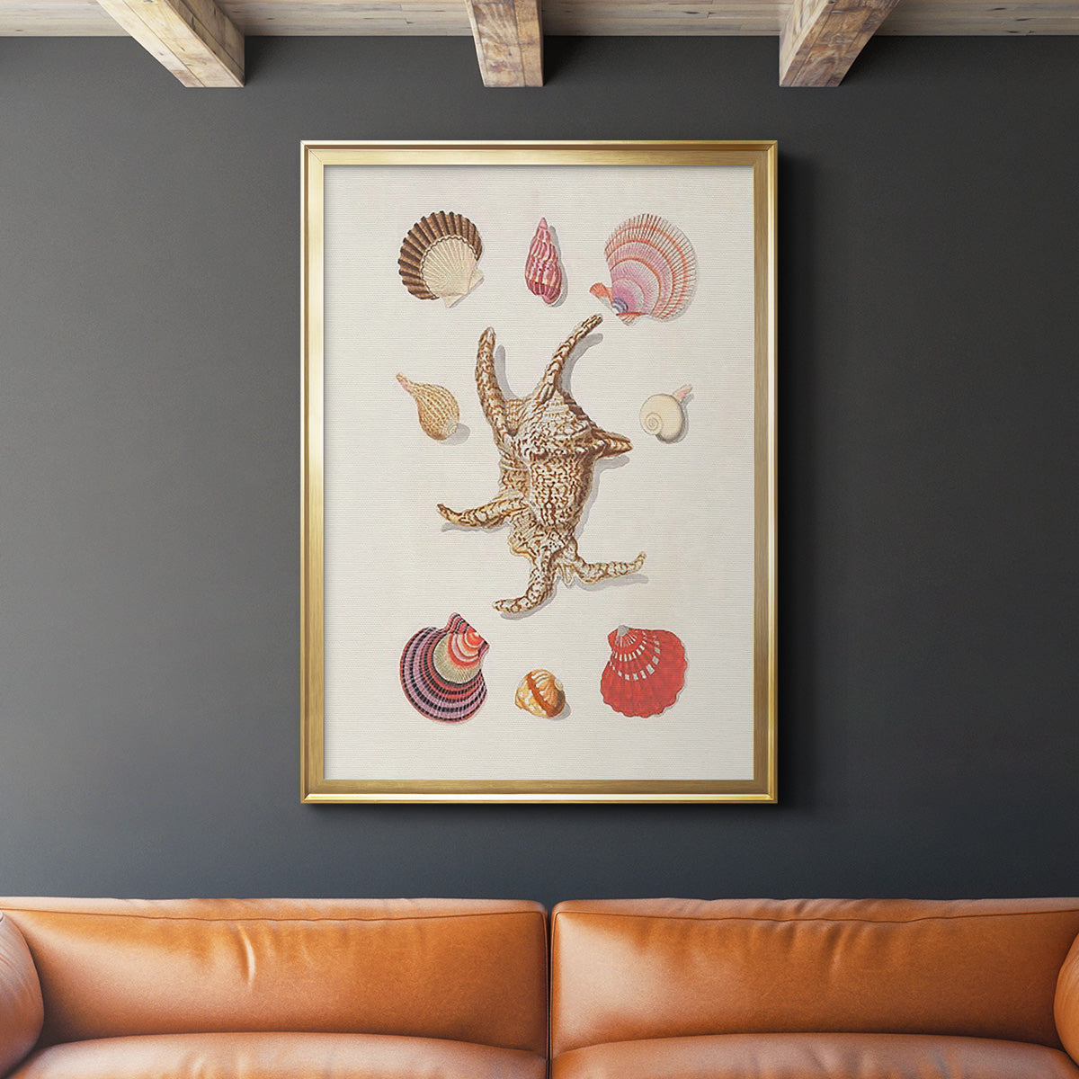 Knorr Shells & Coral II - Modern Framed Canvas Print