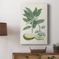 Buchoz Tropicals IV - Canvas Art Print