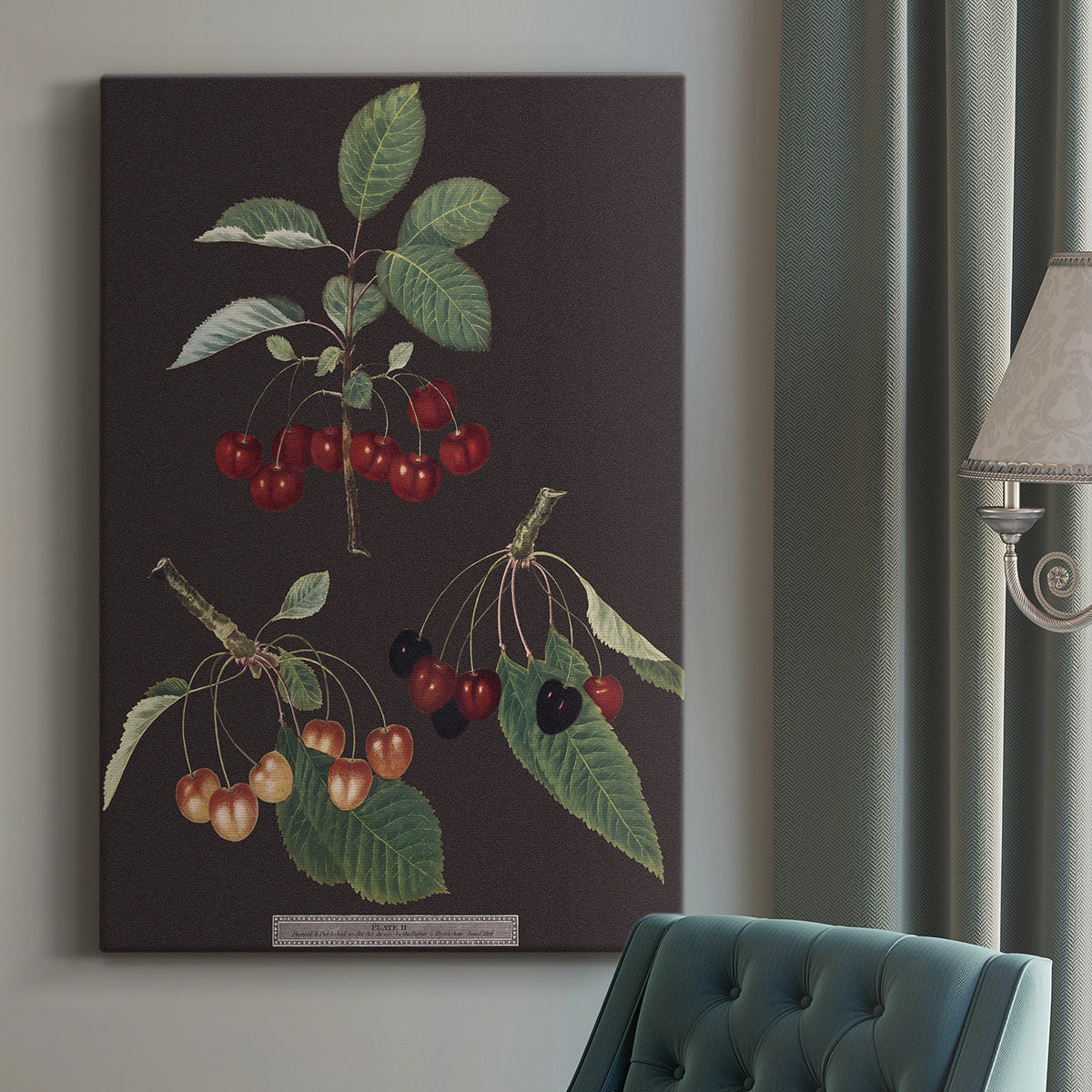 Brookshaw Cherries - Canvas Art Print