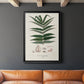 Botanical Society Ferns XII - Modern Framed Canvas Print