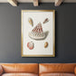 Pastel Knorr Shells VII - Modern Framed Canvas Print
