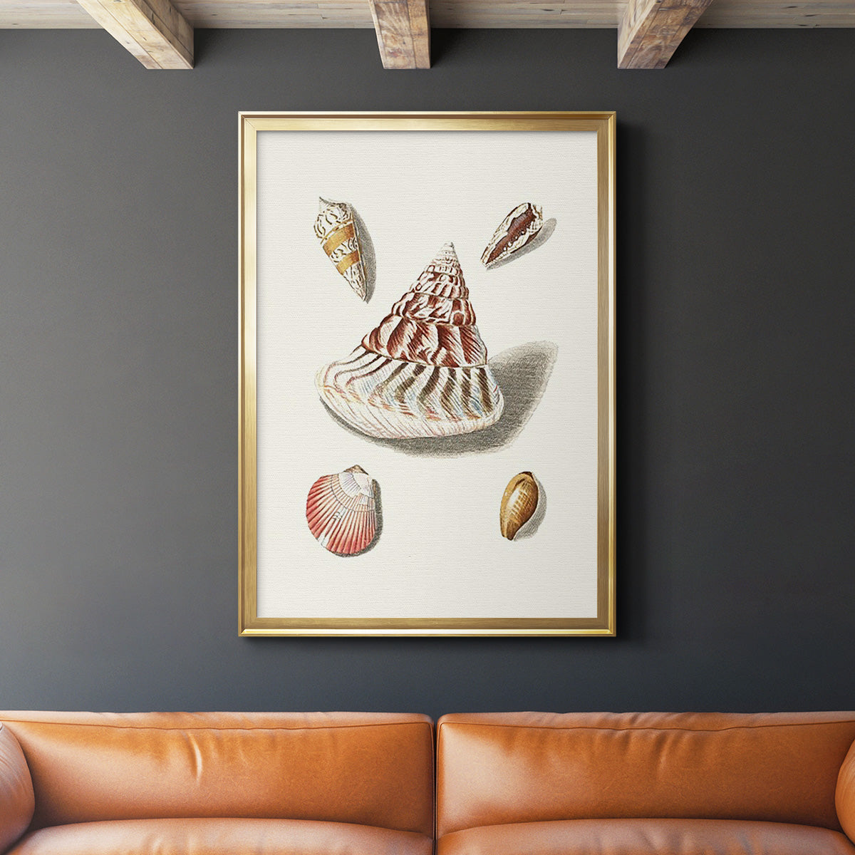 Pastel Knorr Shells VII - Modern Framed Canvas Print